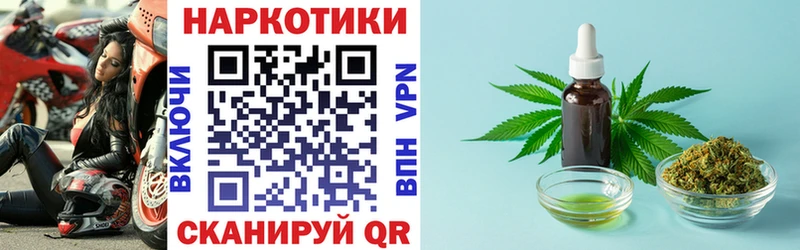 Где купить наркотики Шенкурск ГАШ  Конопля  Амфетамин  Alpha-PVP  Меф  МЕГА ссылка  Cocaine 