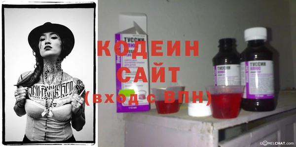 гашик Снежногорск