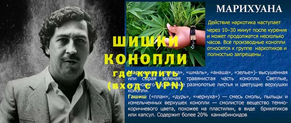спайс Ладушкин