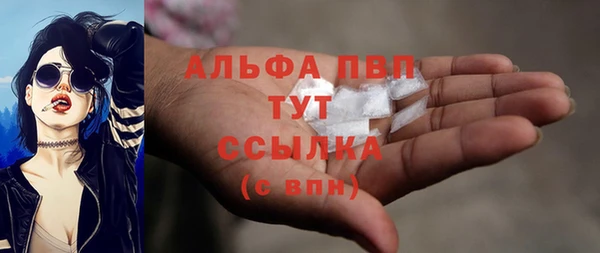 спайс Ладушкин